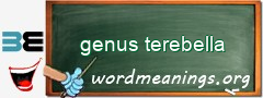 WordMeaning blackboard for genus terebella